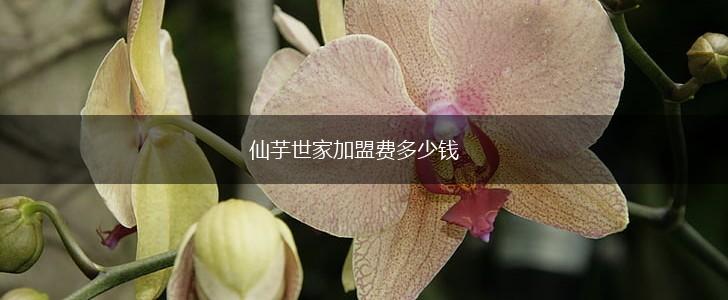 仙芋世家加盟费多少钱,第1张