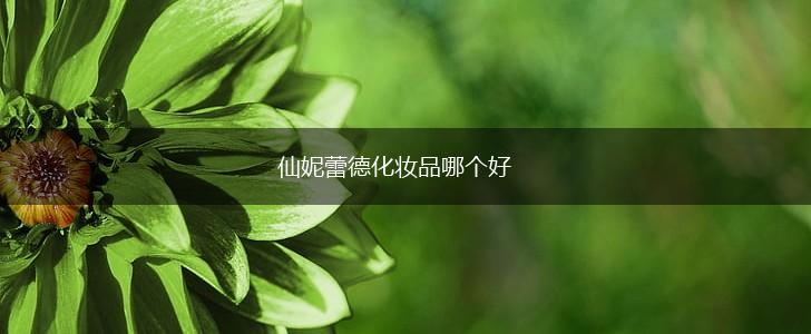仙妮蕾德化妆品哪个好,第1张