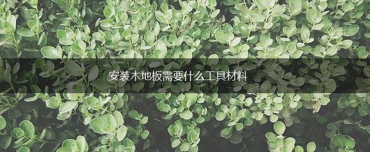 安装木地板需要什么工具材料,第1张