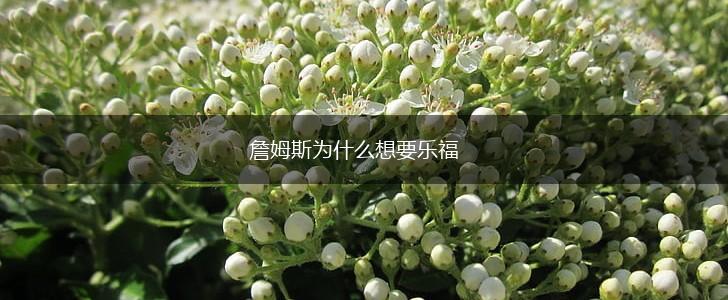 詹姆斯为什么想要乐福,第1张