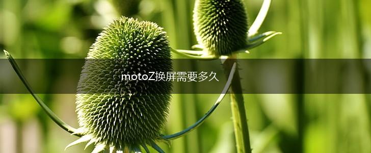 motoZ换屏需要多久,第1张