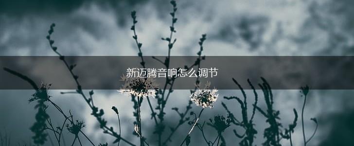 新迈腾音响怎么调节,第1张