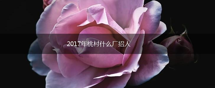 2017年桃村什么厂招人,第1张