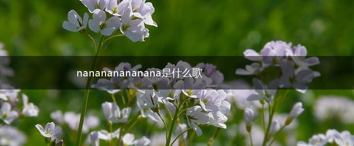 nanananananana是什么歌,第1张