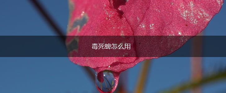 毒死蜱怎么用,第1张