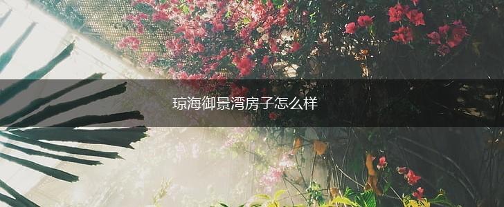 琼海御景湾房子怎么样,第1张