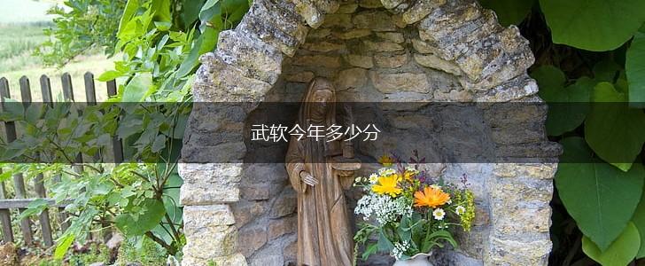 武软今年多少分,第1张