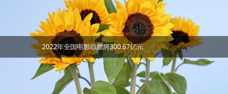 2022年全国电影总票房300.67亿元,第1张