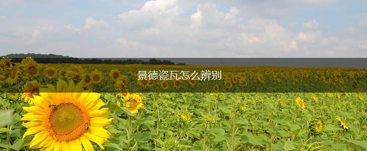 景德瓷瓦怎么辨别,第1张
