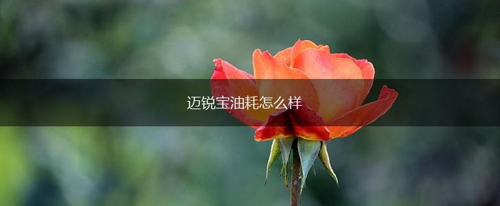 迈锐宝油耗怎么样,第1张