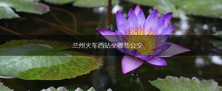 兰州火车西站坐哪些公交,第1张