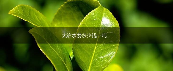 大冶水费多少钱一吨,第1张