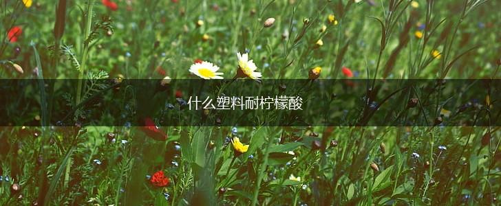 什么塑料耐柠檬酸,第1张