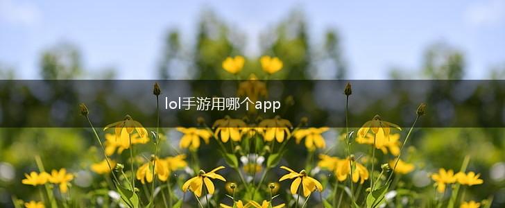lol手游用哪个app,第1张