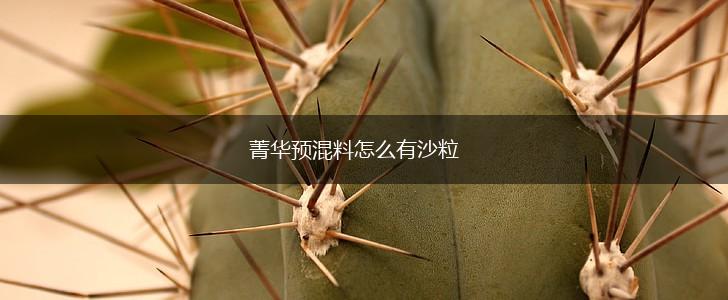 菁华预混料怎么有沙粒,第1张
