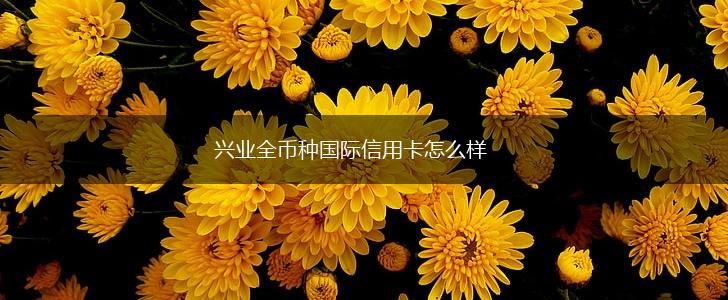 兴业全币种国际信用卡怎么样,第1张