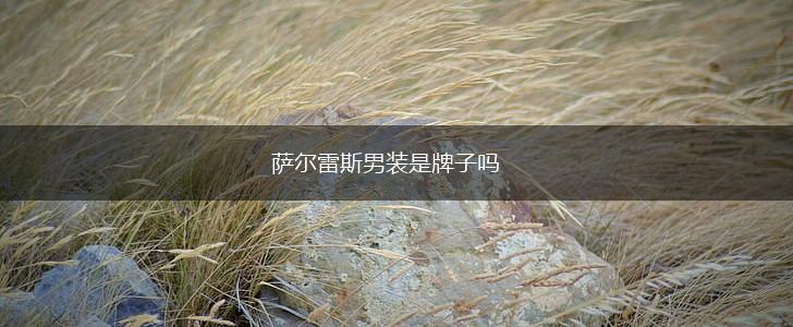 萨尔雷斯男装是牌子吗,第1张