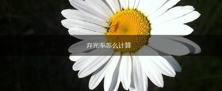 弃光率怎么计算,第1张