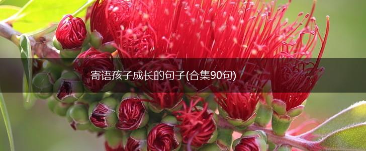 寄语孩子成长的句子(合集90句),第1张