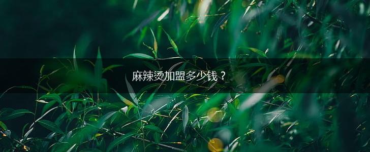 麻辣烫加盟多少钱？,第1张