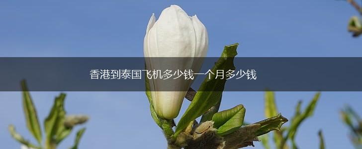 香港到泰国飞机多少钱一个月多少钱,第1张
