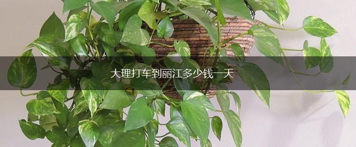 大理打车到丽江多少钱一天,第1张