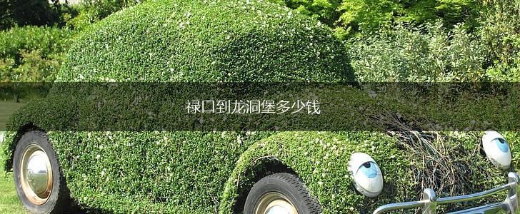 禄口到龙洞堡多少钱,第1张