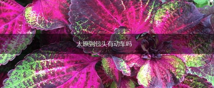 太原到包头有动车吗,第1张