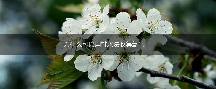 为什么可以用排水法收集氧气,第1张