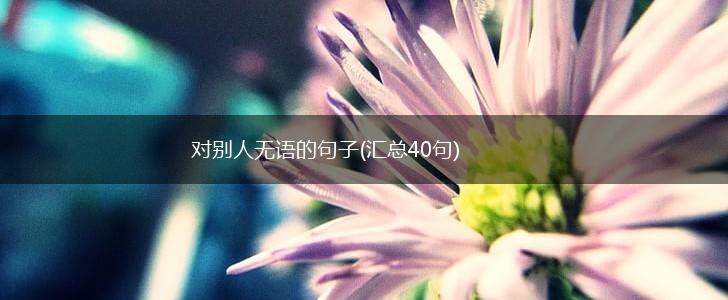 对别人无语的句子(汇总40句),第1张