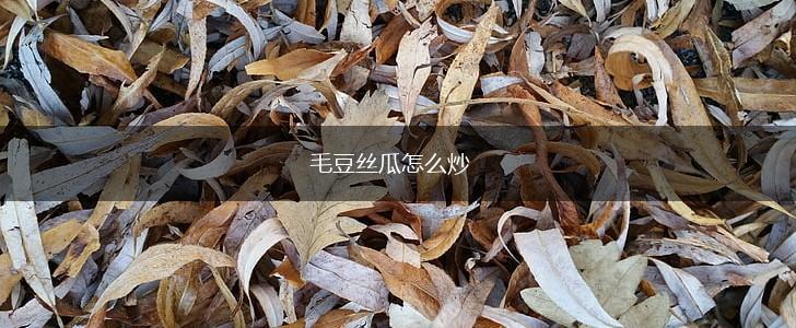 毛豆丝瓜怎么炒,第1张
