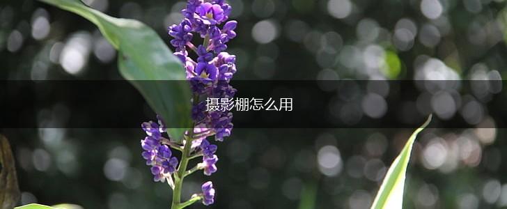 摄影棚怎么用,第1张
