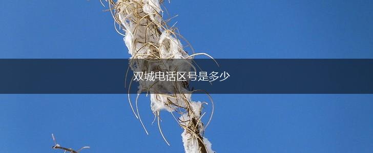 双城电话区号是多少,第1张