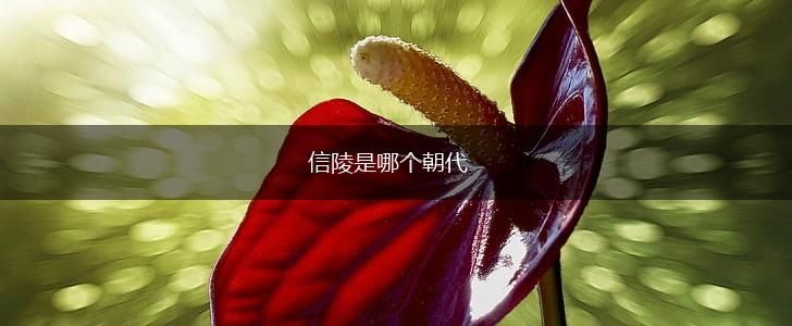 信陵是哪个朝代,第1张