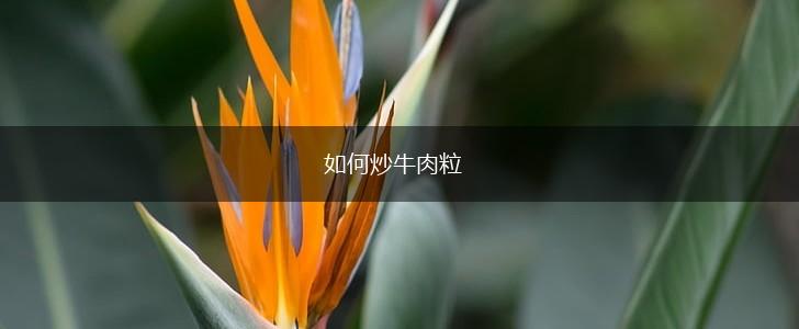 如何炒牛肉粒,第1张