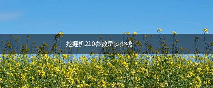 挖掘机210参数是多少钱,第1张