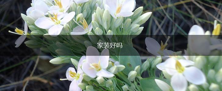 家装好吗,第1张