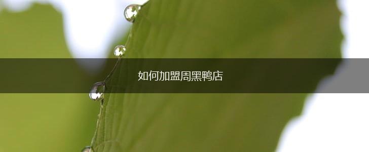 如何加盟周黑鸭店,第1张