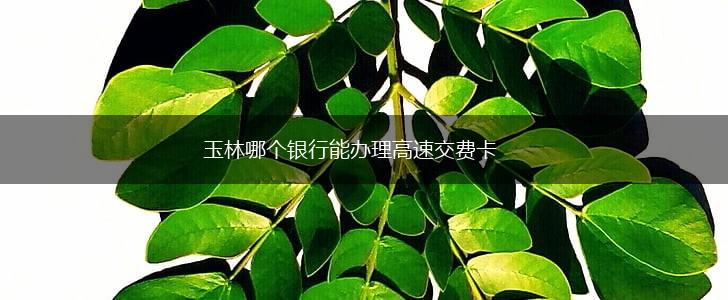 玉林哪个银行能办理高速交费卡,第1张
