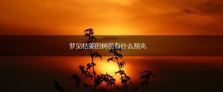 梦见枯萎的树苗有什么预兆,第1张