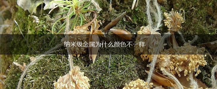 纳米级金属为什么颜色不一样,第1张