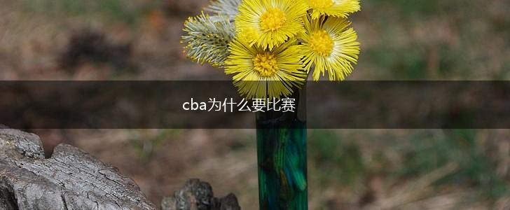 cba为什么要比赛,第1张
