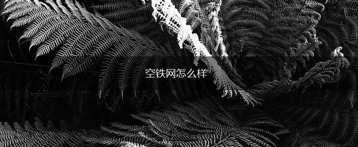 空铁网怎么样,第1张