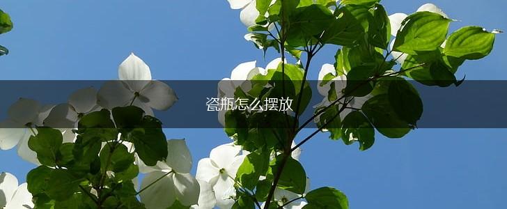 瓷瓶怎么摆放,第1张
