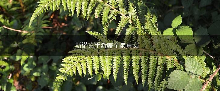 斯诺克手游哪个最真实,第1张