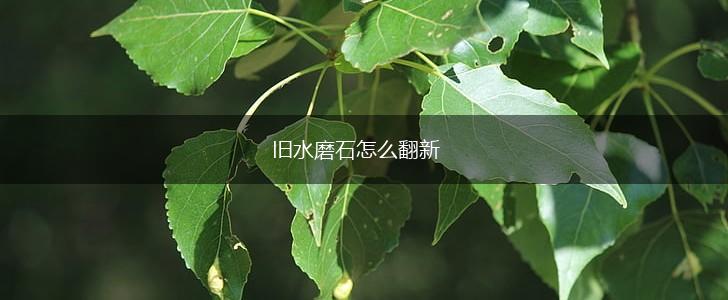 旧水磨石怎么翻新,第1张