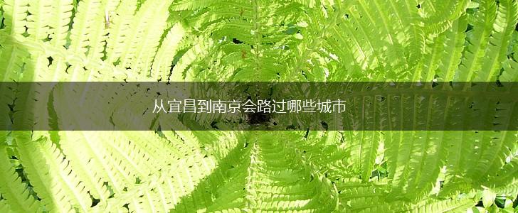 从宜昌到南京会路过哪些城市,第1张