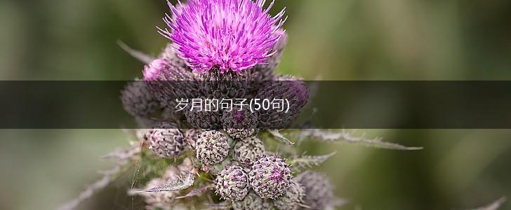 岁月的句子(50句),第1张