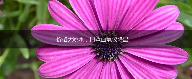 价格大跳水，口罩血氧仪降温,第1张