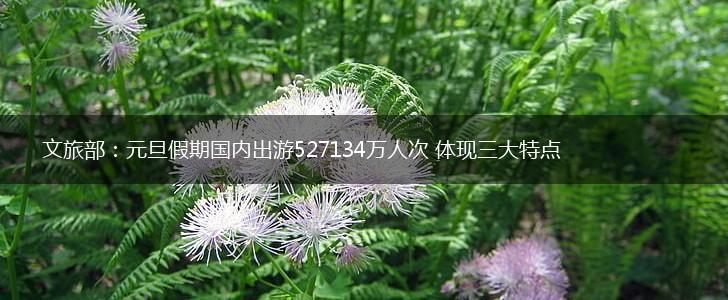 文旅部：元旦假期国内出游527134万人次 体现三大特点,第1张